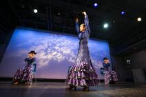 2020.8.9 フラメンコ発表会「青の世界」
